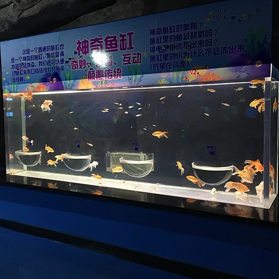 

Customized clear big rectangle acrylic aquariums, Transparent