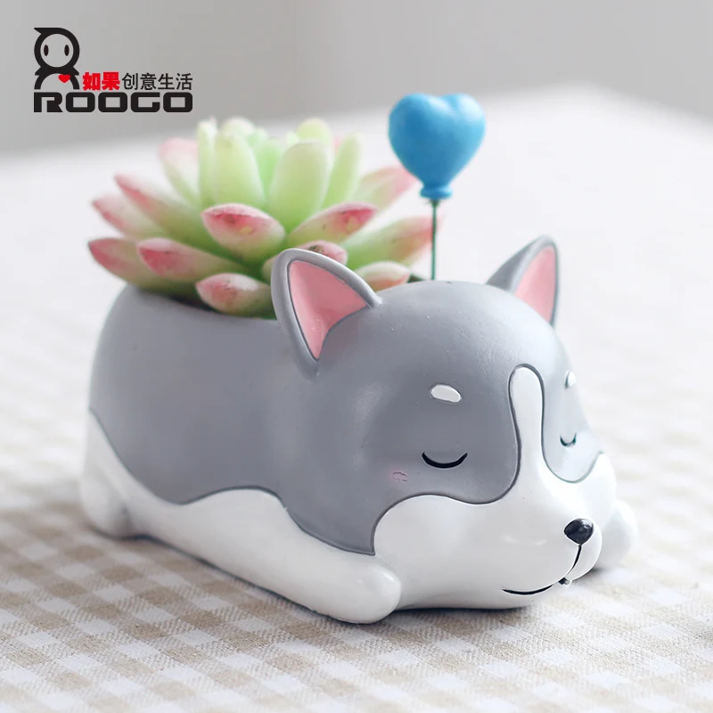 

ROOGO desktop flower pot green decoration succulent plant pot, Colorful
