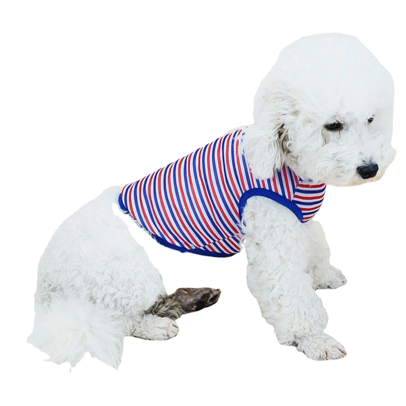 

Colorful cute pet clothes costume pet clothing summer pet supplies