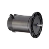 Unique products market high torque 24v 250w dc electric motor for Electric Kart
