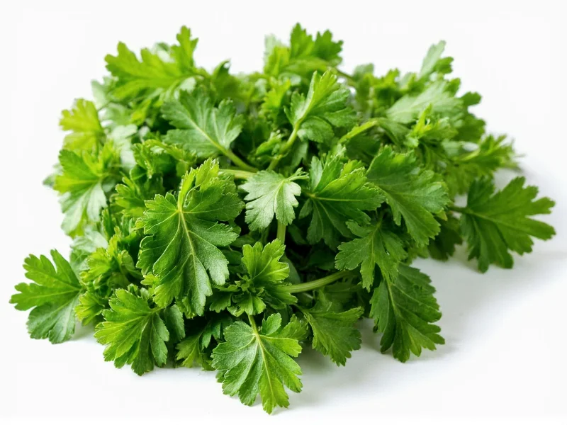 Parsley Substitute Guide: Best Alternatives for Cooking