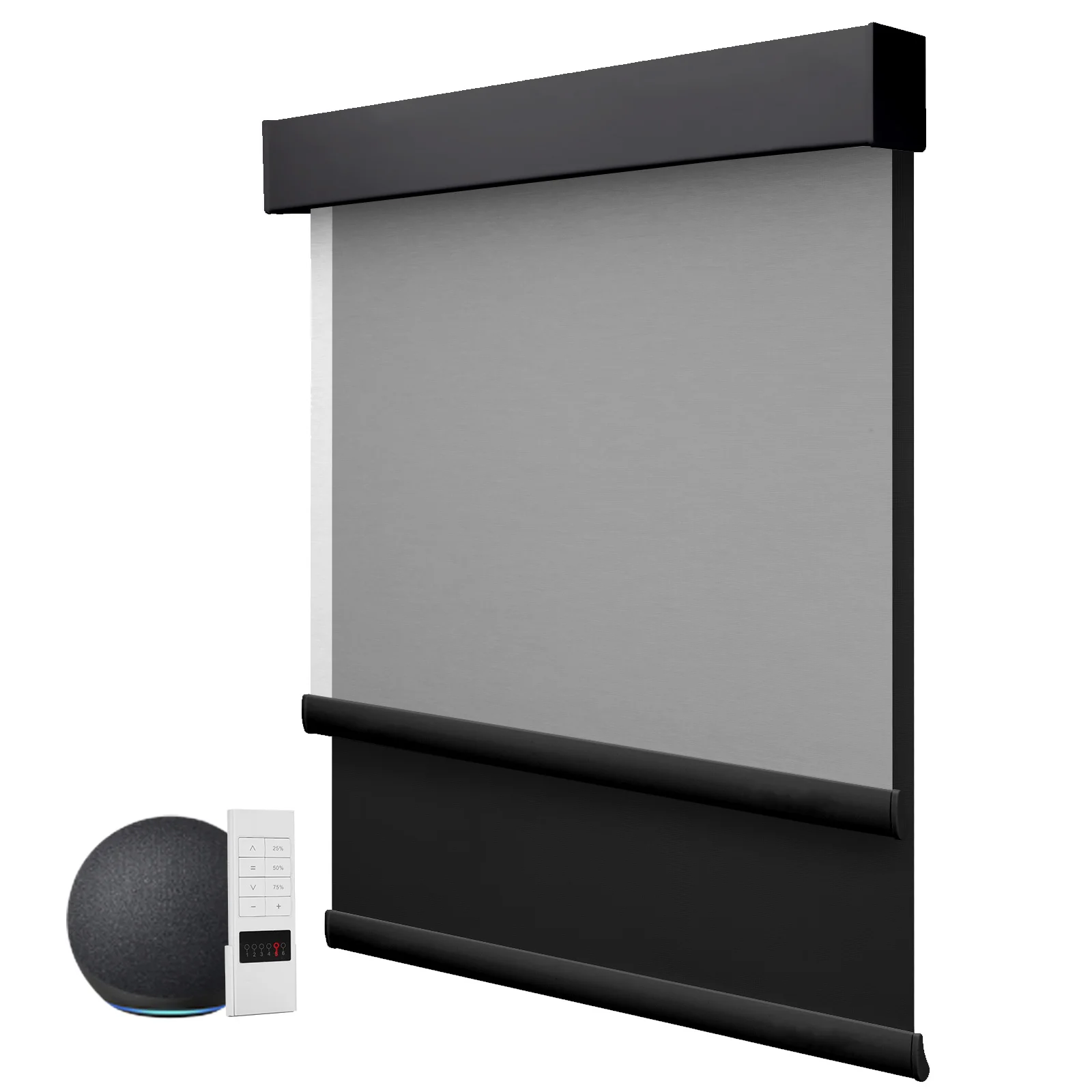 ZSTARR Wholesale Window Curtains Electric Smart Motorized Remote Control Double Layer  2-in-1Day and Night Roller Blinds Shades