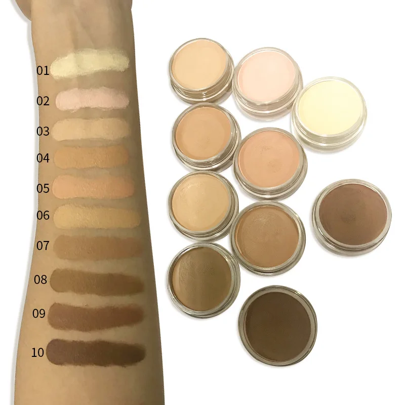 

10 Colors High Quality Face Make Up Concealer Water And Oil Proof Concealer Private Label For All Skin