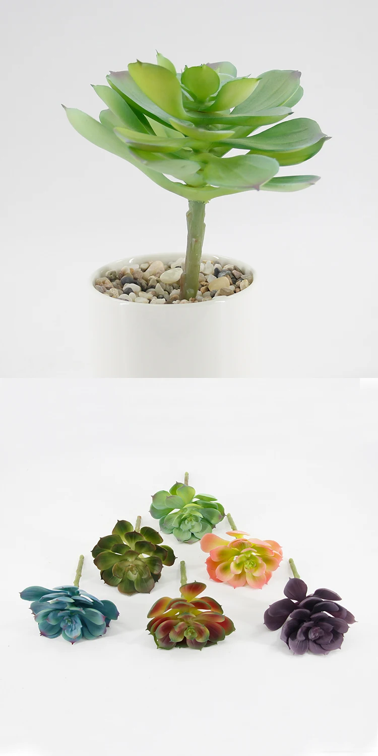 Wholesale Simulation Lifelike Real Touch Various Succulent Plants