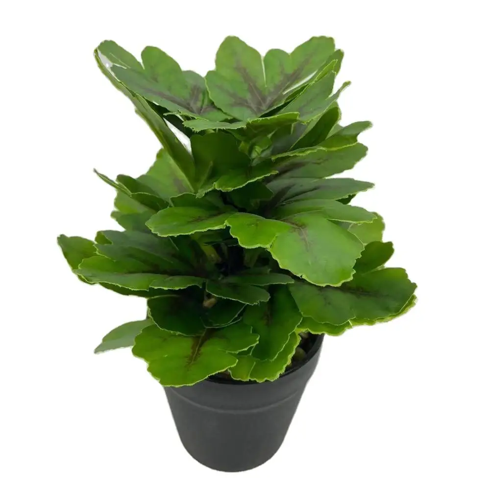 

Newly design mini artificial plastic plants silk greenery leaves for desk decoration, Green yellow purple colort
