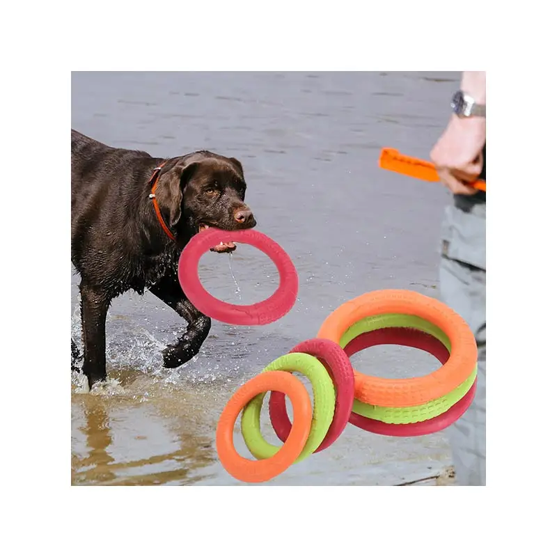 

Funny Flying Modelling Outdoor Fitness Discs Tug Toy, Molar Soft Water Floating EVA Play Chew Toy For Dogs, Green, red, orange