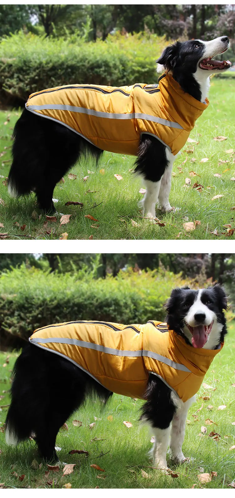 En gros en Plein Air Bande Personnalisée Pour Animaux De Compagnie Chien Manteau Réfléchissant Imperméable À L'eau Hiver Chaud Chien Vêtements de Veste