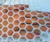 Balcony plastic protective net for domestic pets to prevent escape