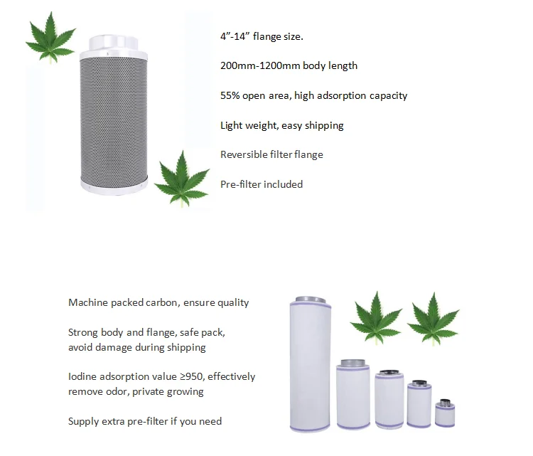 carbon filter
