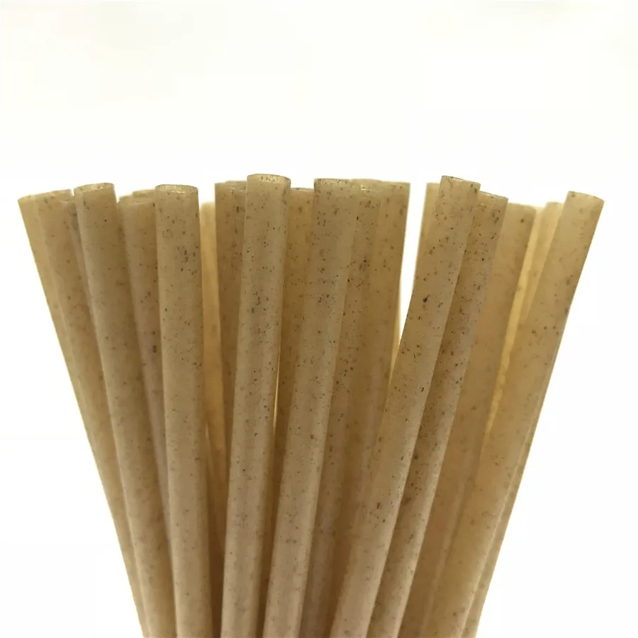 
6/7/8/10/12mm Eco Friendly Sugarcane Fibre Straw Biodegradable Natural Bagasse Straw 