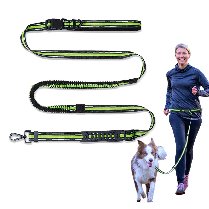 

Bunny 02 other pet products Reflective telescopic dog leash can be adjusted running pet leash, Blue green