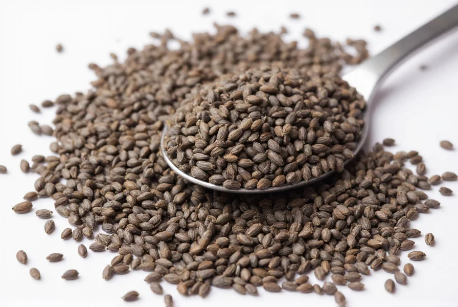 Close-up view of whole aniseed seeds next to a teaspoon showing their small size and grayish-brown color