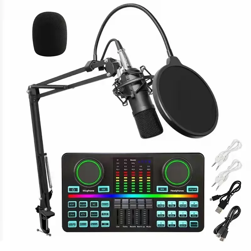 

OEM Studio Recording Dual Live Broadcast Audio Interface D9 48V Supply USB Type C Sound Card and BM700 Microphone