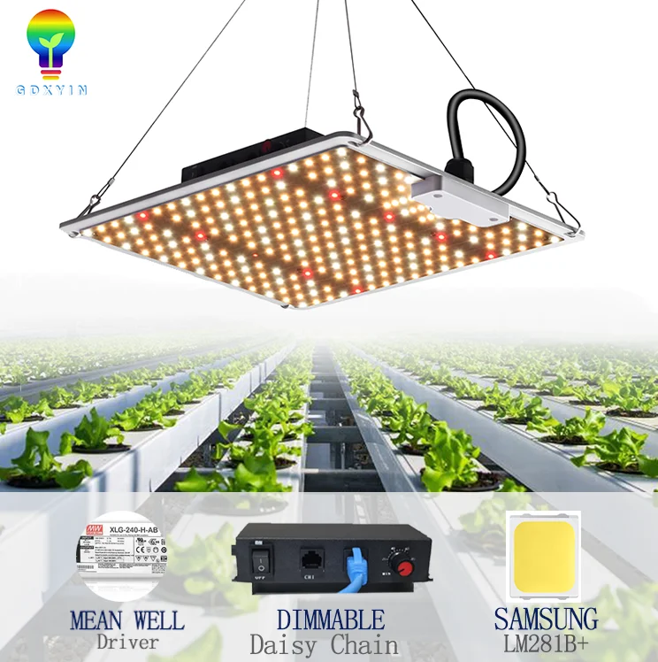 Best Quality China Manufacturer 110Watt Highly Efficiency Samsung Led Grow Light