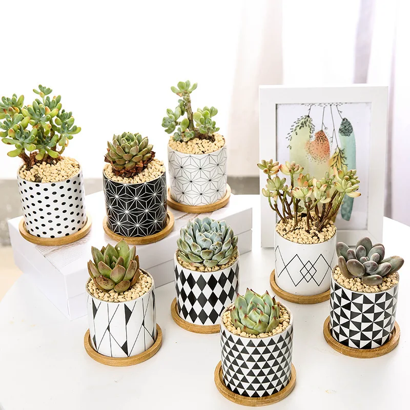 

Luxury Cheap Wholesale Chinese Ceramic Flowerpot Indoor Outdoor Porcelain Decoration Sublimation Small Mini Ceramic Flower Pots