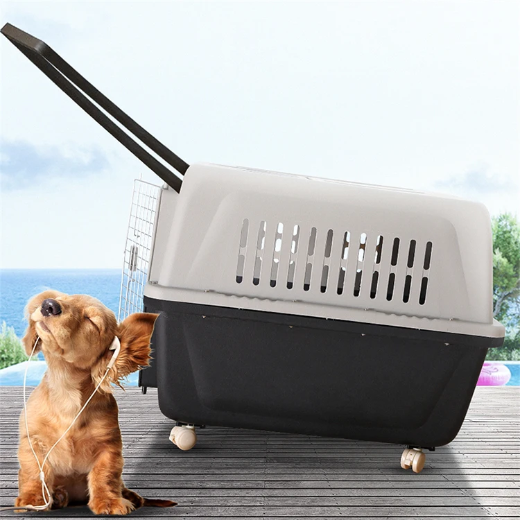 

pet carrier clear travel standart crate large dog and cat carry cages kennel air plastic carrier, Customized color