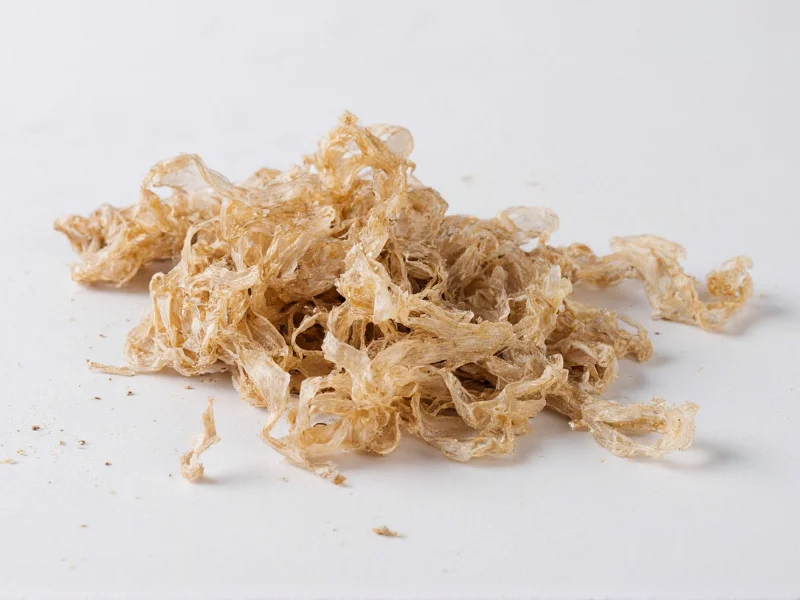 Dried to the Touch: Meaning, Timing, and Practical Guide