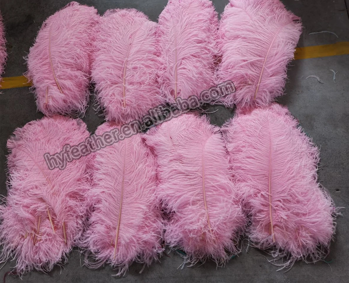 Manufacturer Factory Ostrich Feather Fans Excellent Quality Beautiful ...