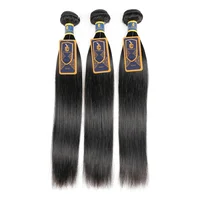 

Best Price Raw Virgin Remy Hair Vendors Cuticle Aligned Hair Double Drawn Straight Bundles Brazilian Unprocessed Virgin Hair