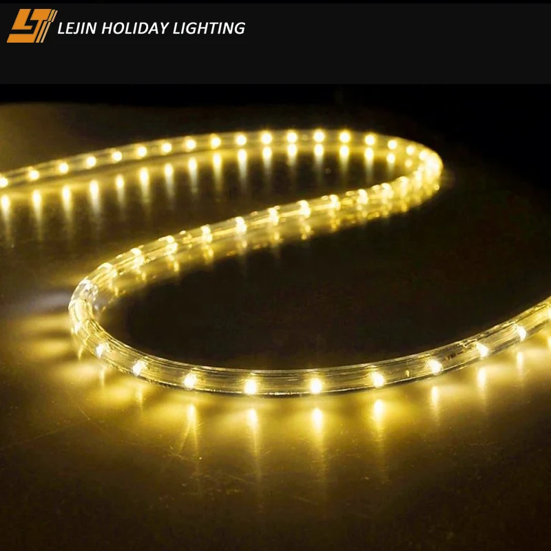 Festival Decorative Professional  led rope light 60 ft outdoor use
