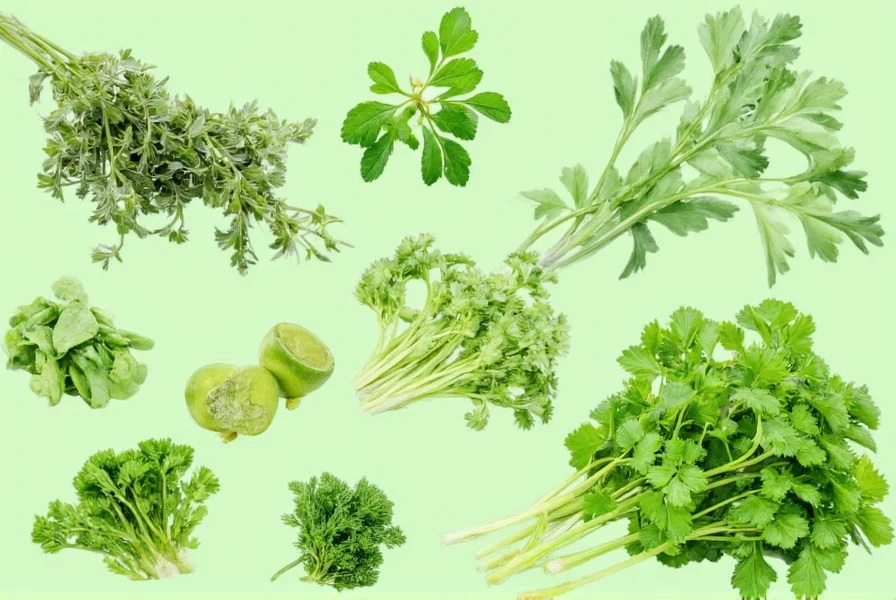 Best Coriander Cilantro Substitutes for Any Recipe