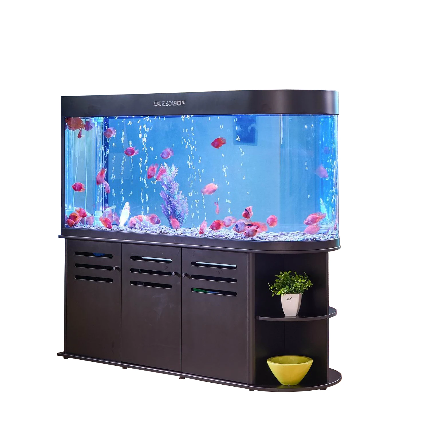 

bullet shot fish tank design with bottom filter & pump fish tank aquarium glass