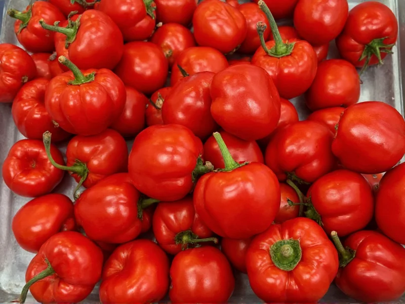 Peppes Pizza: History, Menu & Scandinavian Chain Facts