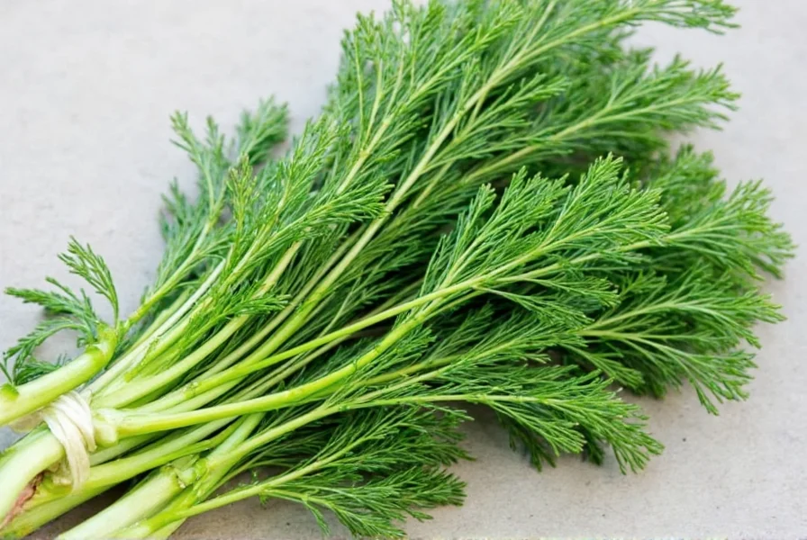 Dill Bundle