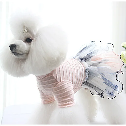 

Pet apparel dog pets clothes Luxurious lace candy-colored pet dress for small female dogs fashion design cat dog dress, Many colors