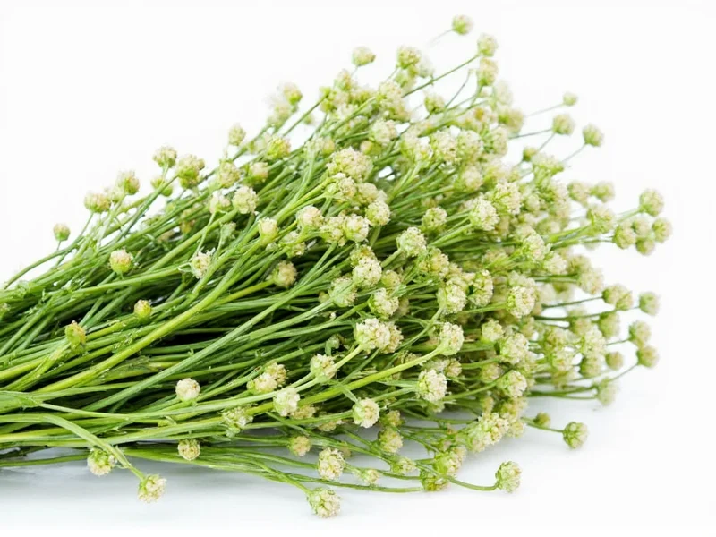 Is Caraway Non Toxic? Safety Facts Revealed