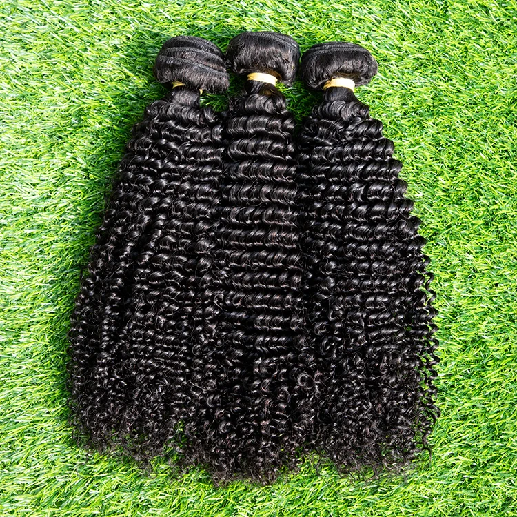 

GS Raw Virgin Burmese Curly Hair Bundle, Mongolian Kinky Curly Hair, Cambodian Curly Human Hair Extensions For Black Women