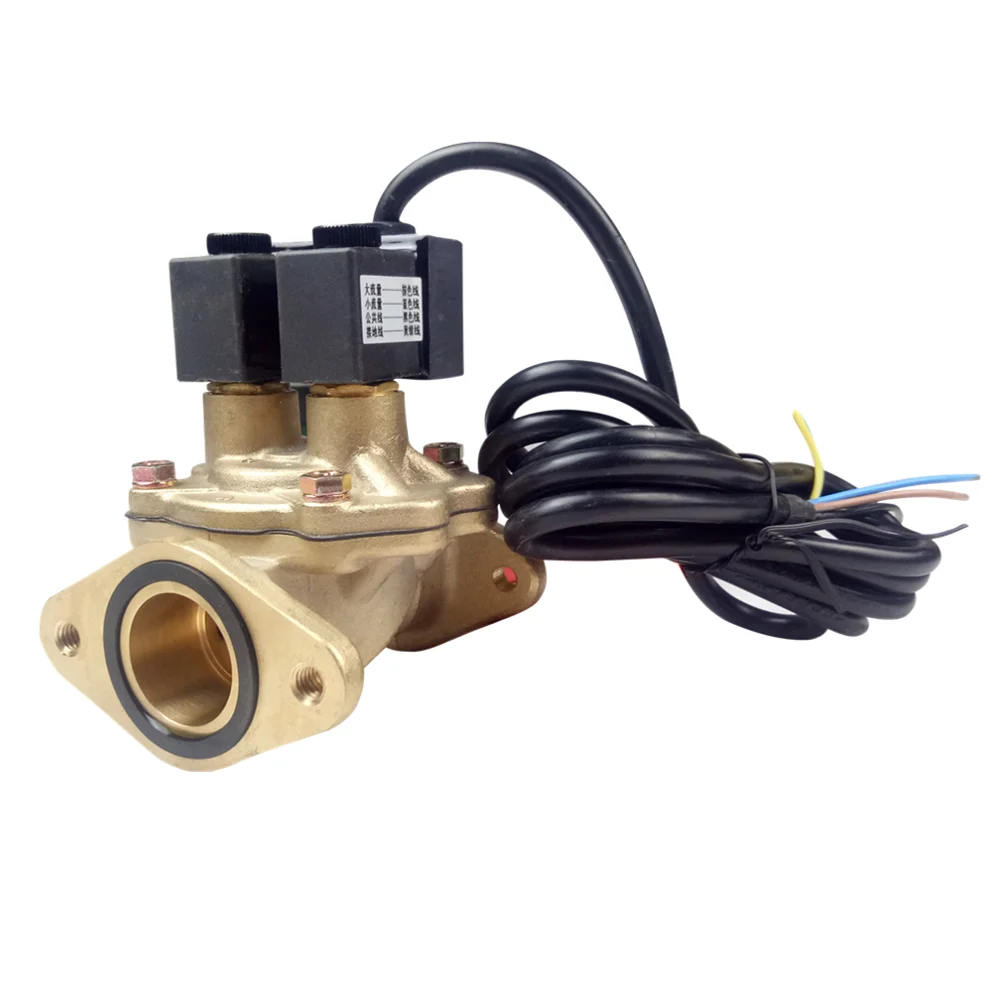 

Fuel dispenser parts dual flow solenoid valve for portable fuel dispenser