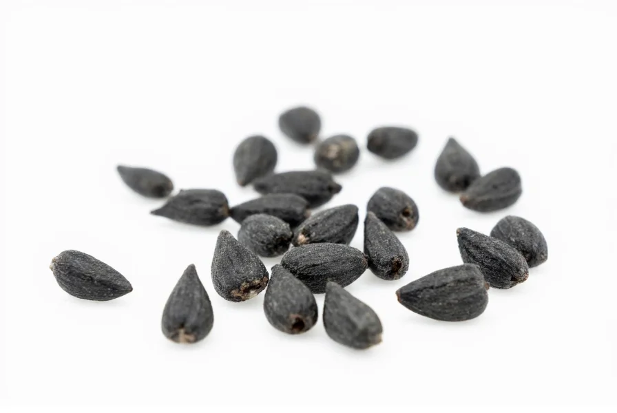 Close-up photograph of nigella seeds showing their matte black triangular shape against a white background