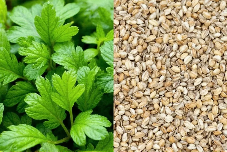 Indian chef preparing fresh coriander chutney