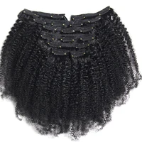 

Hot selling afro kinky curly clip in 100% human hair extensions