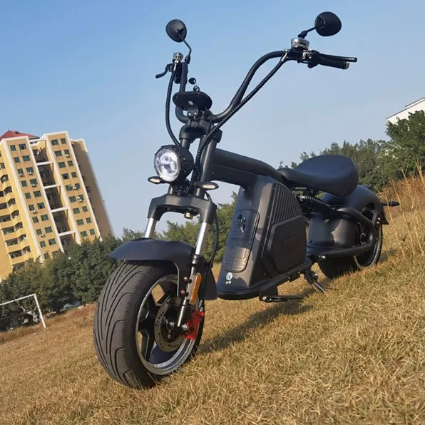 

Model M8 good seller 3000W fashion design 30AH EEC COC electric scooters Citycoco adult two wheel chopper