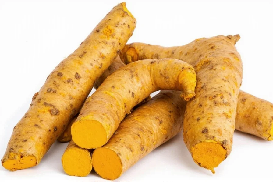 Comparison of fresh turmeric roots, dried turmeric, and turmeric powder in cooking applications
