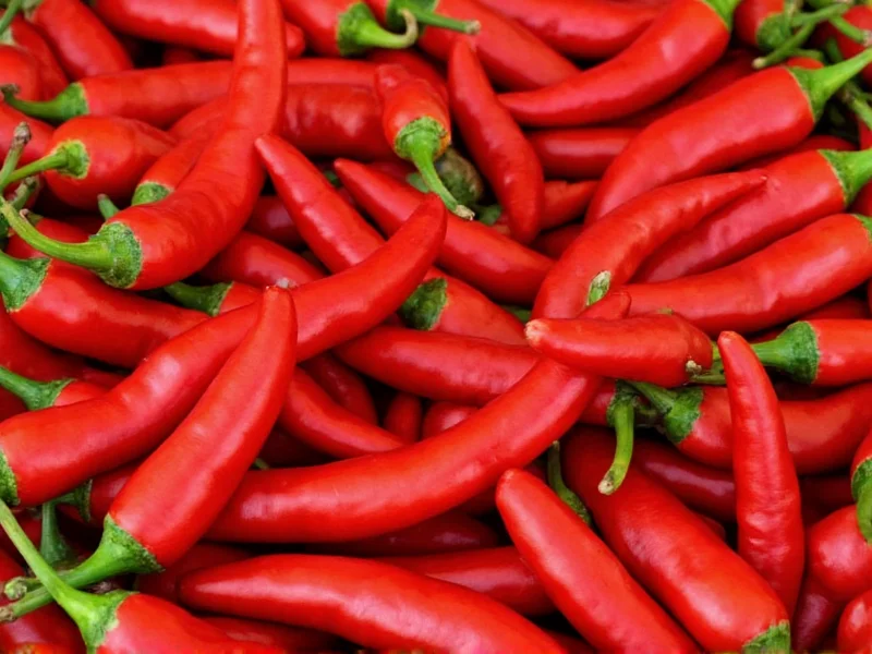 What Are Thai Chilies? Essential Guide to These Fiery Peppers