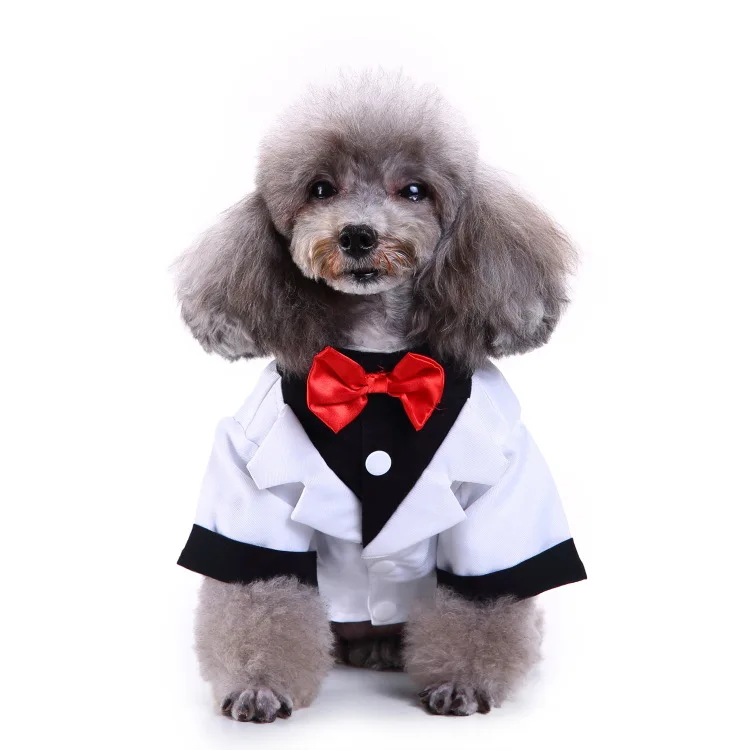 

Professional Manufacturer Fashion Pet Clothes Dog Apparel Pet XL Dog Outfits Pet Clothes, Black, blue, white