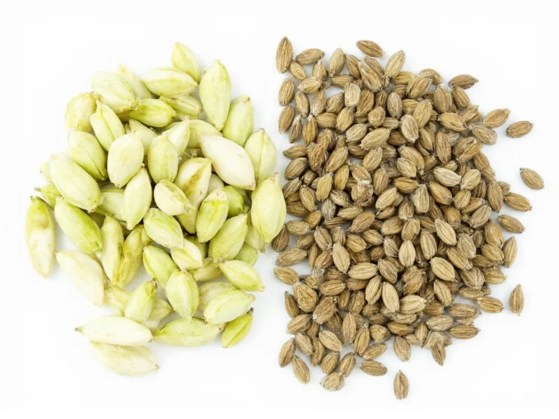 Cardamom Pods vs Seeds: Key Differences and Uses
