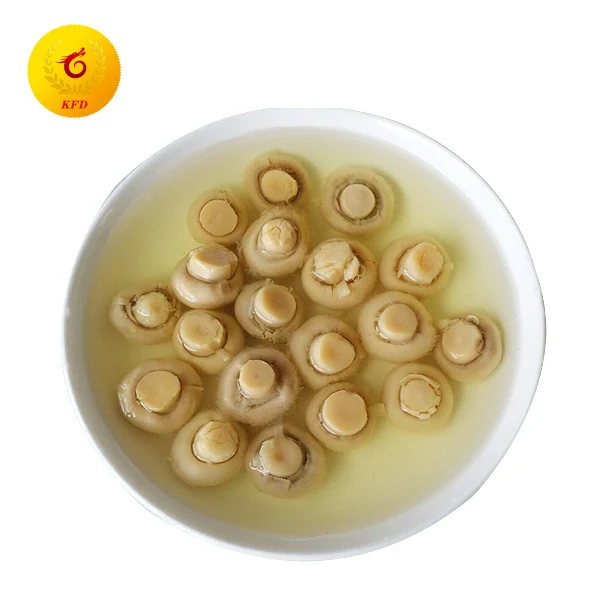 
Best China canned whole champignon mushrooms  (60720386352)