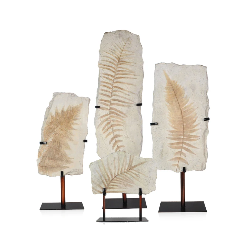 2024 New Design Wholesales Resin imitation Leaves Fossil Statue Tabletop For Home Decor details