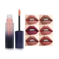 

OEM 12 Colors Makeup Natural Vegan Cosmetic Lipstick Waterproof Liquid Matte Plumper Lip Stick For Dinner Party