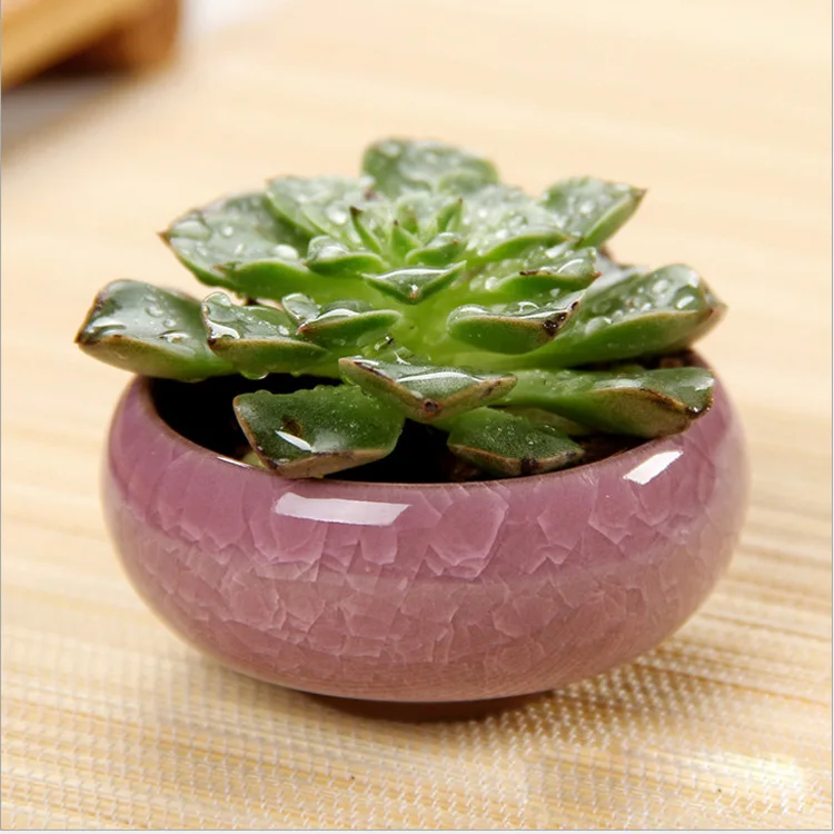 

modern Ice-Crack Ceramic Flower Pots mini pots for plants round ceramic flower pots Juicy Plants pottery for home decor, Yellow,pink,blue,white,green,purple