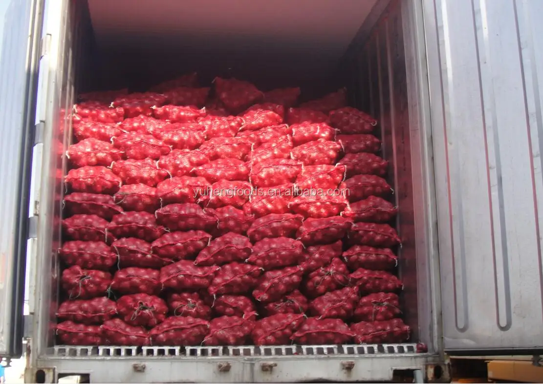 Delivery of onion 2.jpg