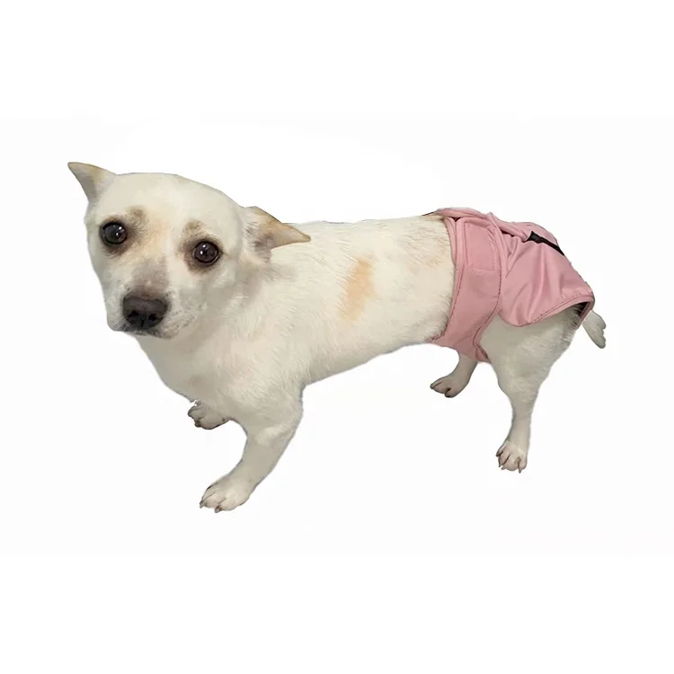 

2021Factory Hot Sale High Quality Healthful And Harmless Dog Period Pants Panties Dog Diapers Female