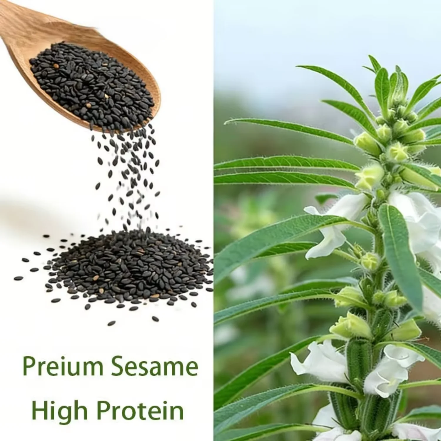 China Black Sesame Powder Factory | Bulk Wholesale Hedcd6ab3dc3649818707058486f88351h