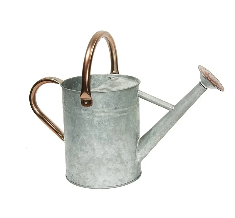 

Garden Tool Sliver Galvanized Steel Water Can Copper Accents Removable Rosette-Diffuser Steel Watering Can