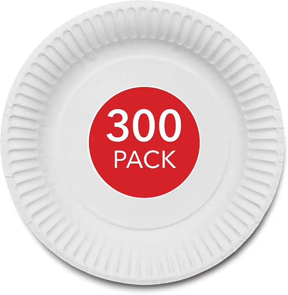 

9-Inch Paper Plates Uncoated, Everyday Disposable Plates 9" Paper Plate Bulk, White, 300 Count