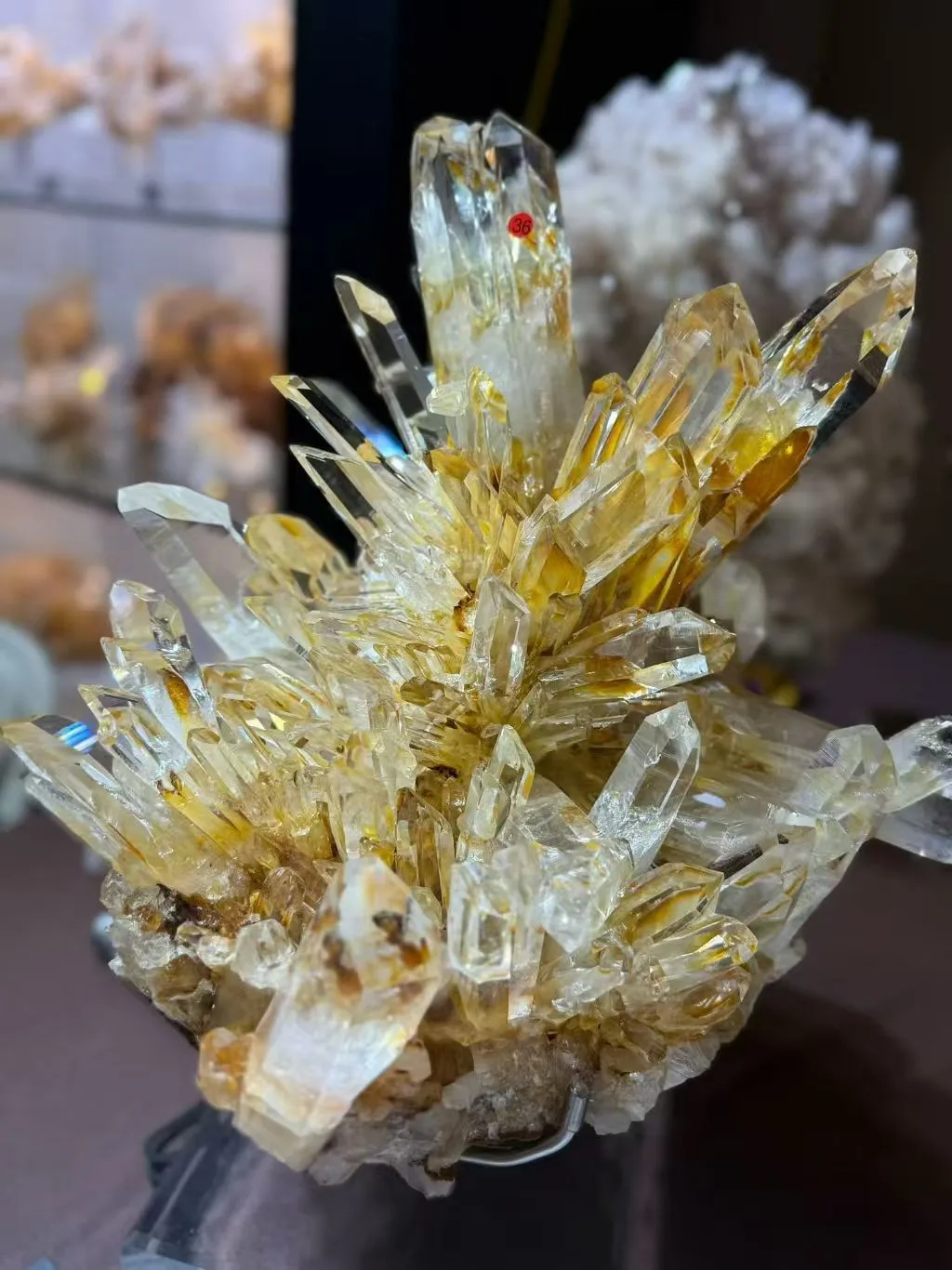 Lemurian Crystal Cluster
